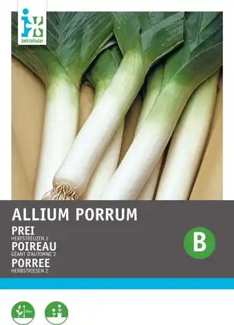 Intratuin Intratuin groentezaad prei (allium porrum 'herfstreuzen') aanbieding