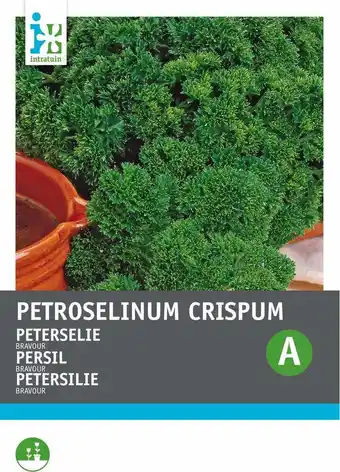 Intratuin Intratuin kruidenzaad peterselie (petroselinum crispum 'bravour') aanbieding