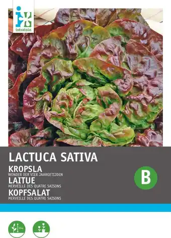 Intratuin Intratuin groentezaad kropsla (lactuca sativa 'wonder van 4 jaargetijden') aanbieding