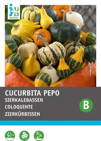 Intratuin Intratuin groentezaad sierkalebas gemengd (cucurbita pepo) aanbieding
