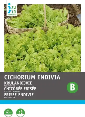 Intratuin Intratuin groentezaad snijandijvie (cichorium endivia 'altijd witte') aanbieding