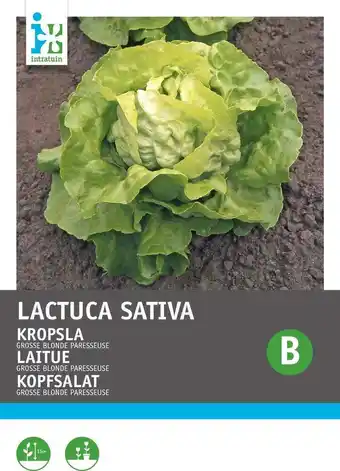 Intratuin Intratuin groentezaad kropsla (lactuca sativa 'blonde traagschietende') aanbieding