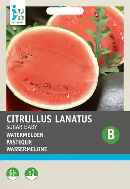 Intratuin Intratuin fruitzaad watermeloen (citrullus lanatus 'sugar baby') aanbieding