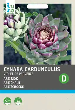 Intratuin Intratuin groentezaad artisjok (cynara cardunculus 'scolymus violette) aanbieding