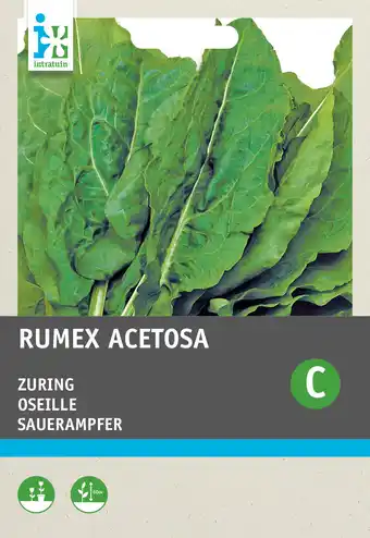 Intratuin Intratuin groentezaad zuring (rumex acetosa) aanbieding