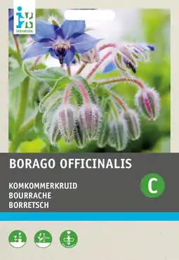 Intratuin Intratuin groentezaad komkommerkruid (borago officinalis) aanbieding