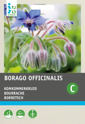 Intratuin Intratuin groentezaad komkommerkruid (borago officinalis) aanbieding