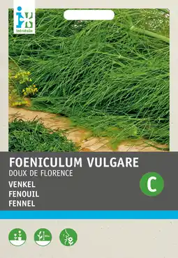 Intratuin Intratuin groentezaad venkel (foeniculum vulgare) aanbieding