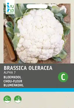 Intratuin Intratuin groentezaad bloemkool (brassica oleracea 'alpha') aanbieding