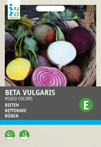 Intratuin Intratuin groentezaad regenboog bieten (beta vulgares) aanbieding