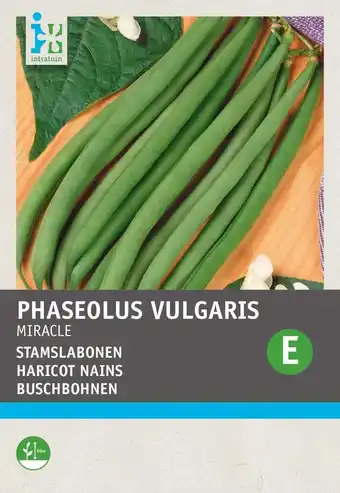 Intratuin Intratuin groentezaad chinese boon (phaseolus vulgaris 'miracle') aanbieding