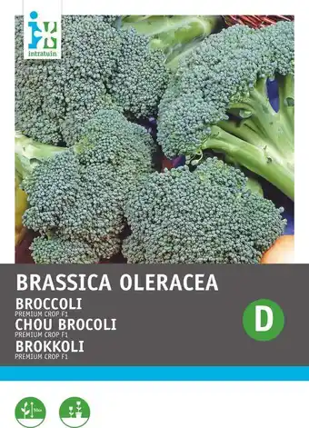 Intratuin Intratuin groentezaad broccoli (brassica oleracea 'southern comet') aanbieding