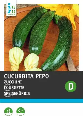 Intratuin Intratuin groentezaad (cucurbita pepo 'diamant f1 hybride') aanbieding
