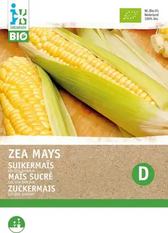 Intratuin Biologische intratuin groentezaad (zea mays 'golden bantam') aanbieding