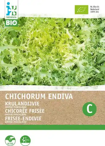 Intratuin Biologische intratuin groentezaad krulandijvie (cichorium endivia 'grosse pancaliere') aanbieding