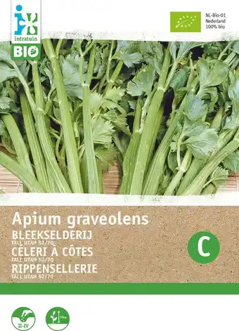 Intratuin Biologische intratuin groentezaad bleekselderij (apium graveolens 'tall utah 52/70') aanbieding