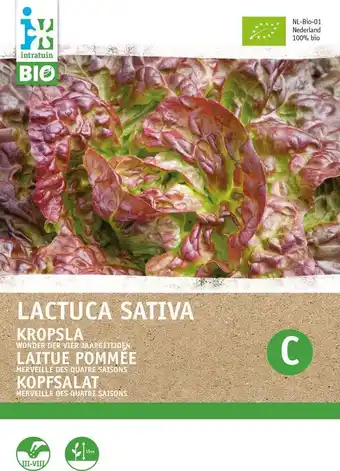 Intratuin Biologische intratuin groentezaad kropsla (lactuca sativa 'wonder der vier jaargetijden') aanbieding