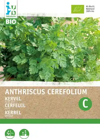 Intratuin Biologische intratuin kruidenzaad kervel fijne krul (anthriscus cerefolium) aanbieding