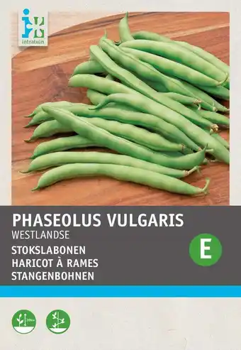 Intratuin Intratuin groentezaad stokslaboon (phaseolus vulgaris 'westlandse dubbele') aanbieding