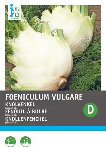 Intratuin Intratuin groentezaad venkel (foeniculum vulgare 'zefa fino') aanbieding