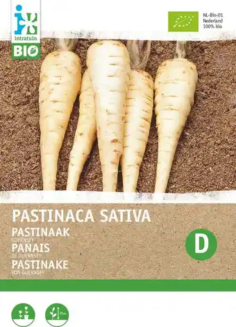 Intratuin Biologische intratuin groentezaad pastinaak (pastinaca sativa) aanbieding