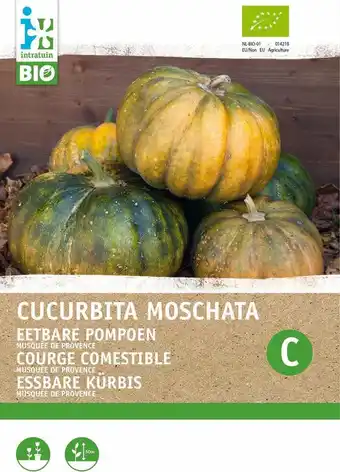 Intratuin Biologische intratuin groentezaad muskaat pompoen eetbaar (cucurbita moschata 'musquee de procence') aanbieding