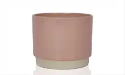 Intratuin Gina da bloempot eno roze d 8 h 7,5 cm aanbieding