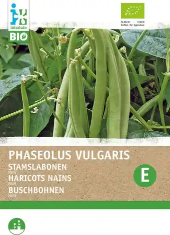 Intratuin Biologische intratuin groentezaad stamslaboon (phaseolus vulgaris 'maxi') aanbieding