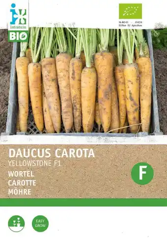 Intratuin Intratuin biologisch groentezaad wortel (daucus carota 'yellowstone') aanbieding