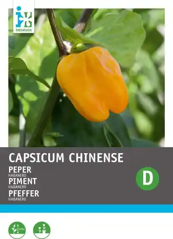 Intratuin Intratuin groentezaad peper (capsicum annuum 'habenero oranje') aanbieding
