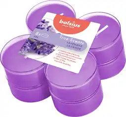 Intratuin Bolsius geurkaars true scents lavender paars 8 uur 8 stuks aanbieding