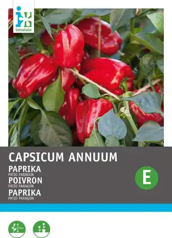Intratuin Intratuin groentezaad snack-paprika (capsicum annuum 'snack patio') aanbieding