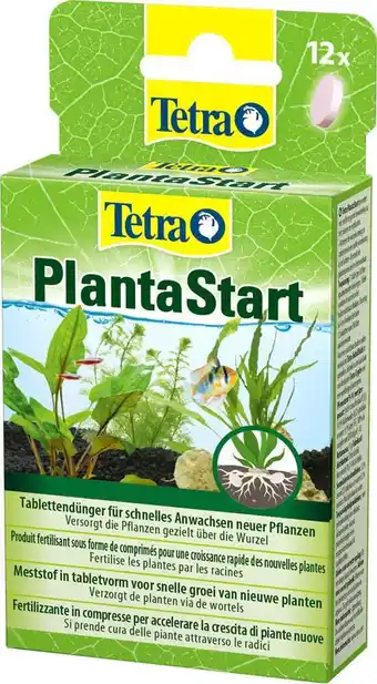 Intratuin Tetra plantenvoeding planta start 12 tabletten aanbieding