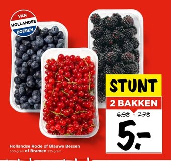 Vomar Voordeelmarkt Hollandse Rode of Blauwe Bessen 300 gram of Bramen 225 gram aanbieding