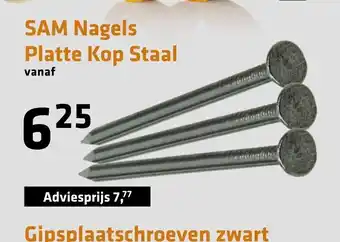 De voordeelmarkt Sam Nagels Platte Kop Staal Adviesprijs aanbieding