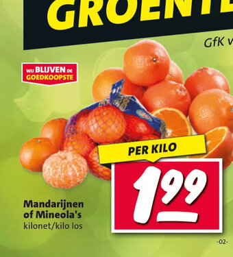 Nettorama Mandarijnen of Mineola's kilonet/kilo los aanbieding