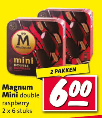 Nettorama Magnum Mini double raspberry 2 x 6 stuks aanbieding