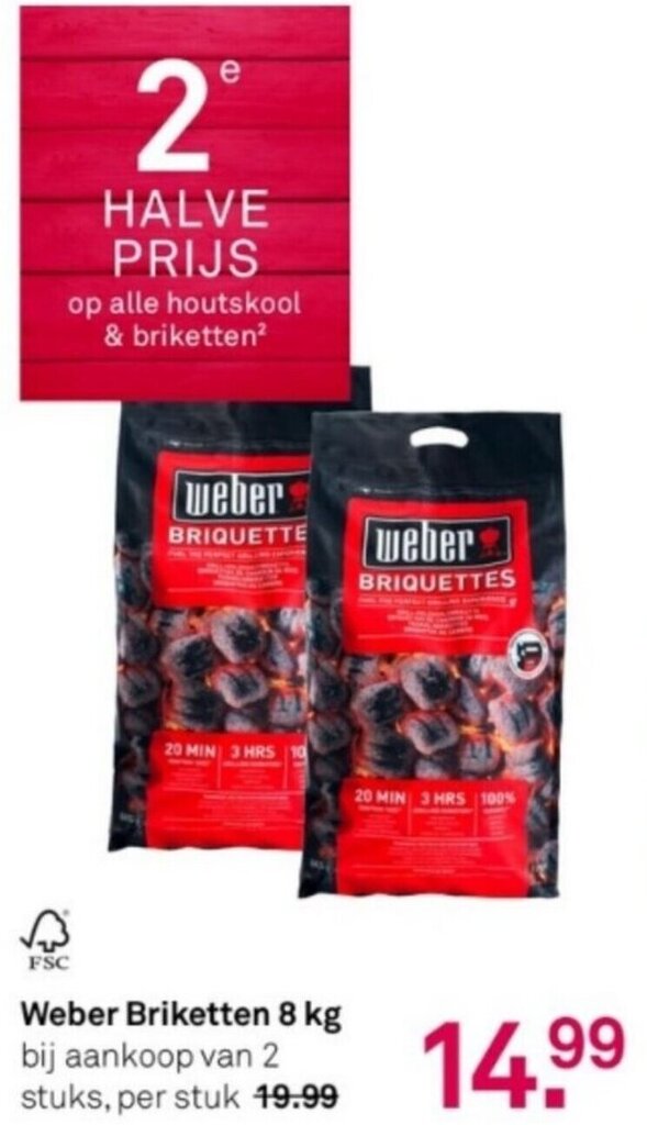 BBQ Starter houtskool/briketten