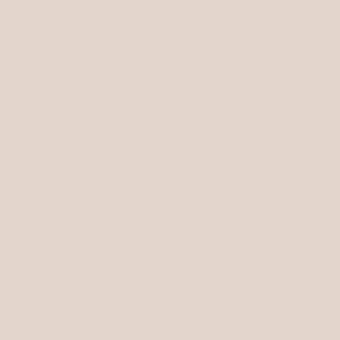 Praxis Histor muurverf my color extra mat peach pudding 2,5l aanbieding