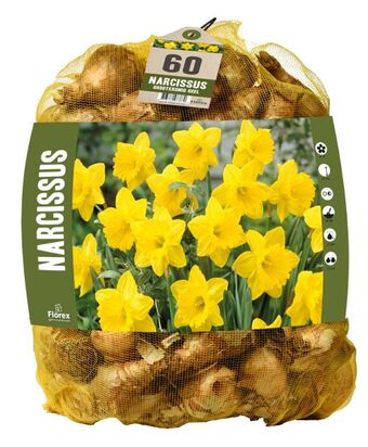 Welkoop Narcis grootkronig voordeelpakket - bloembollen - 70 stuks aanbieding