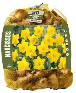 Welkoop Narcis grootkronig voordeelpakket - bloembollen - 70 stuks aanbieding