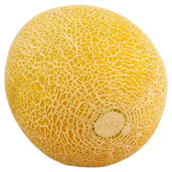 Dekamarkt Galia meloen aanbieding