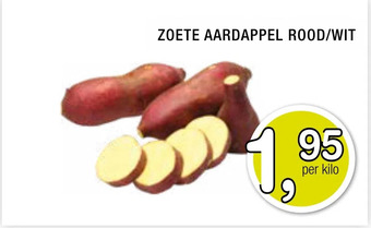 Amazing Oriëntal Zoete aardappel rood/wit aanbieding