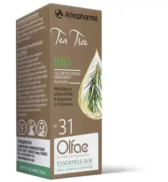 Drogisterij.net Olfae tea tree 31 (10ml) aanbieding