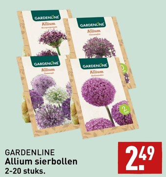 ALDI GARDENLINE Allium sierbollen 2-20 stuks. aanbieding