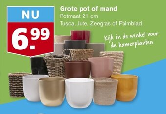 Hoogvliet Grote pot of mand Potmaat 21 cm aanbieding