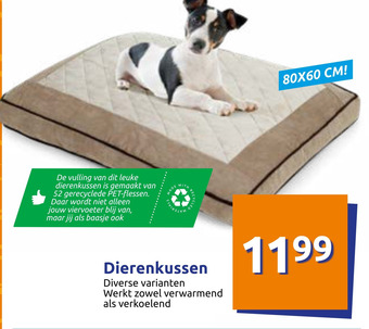 Action Dierenkussen aanbieding