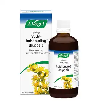 Drogisterij.net A.vogel solidago complex (100ml) aanbieding