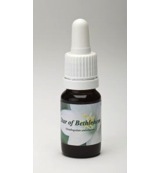 Drogisterij.net Star remedies star of bethlehem (10ml) aanbieding