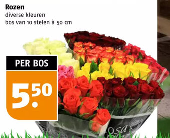 Poiesz Rozen 50 cm aanbieding